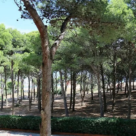 Rvapartaments La Pineda *