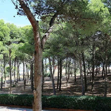 Appartement Rvapartaments La Pineda *